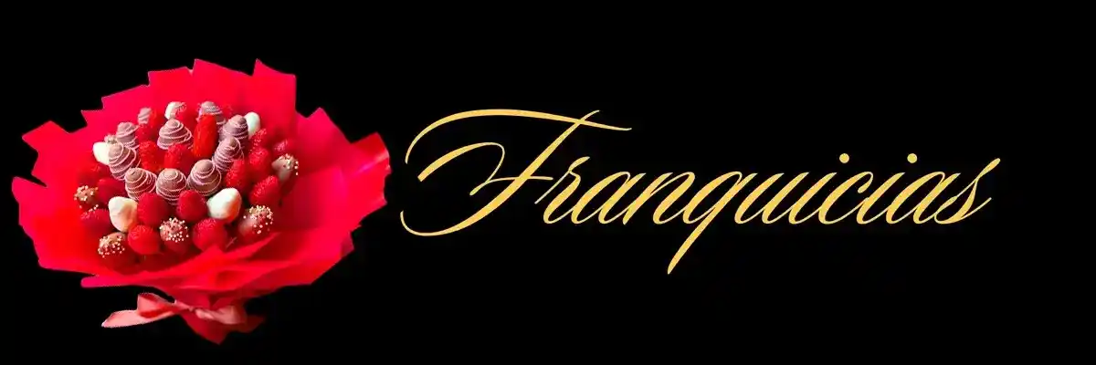 Franquicias accesibles